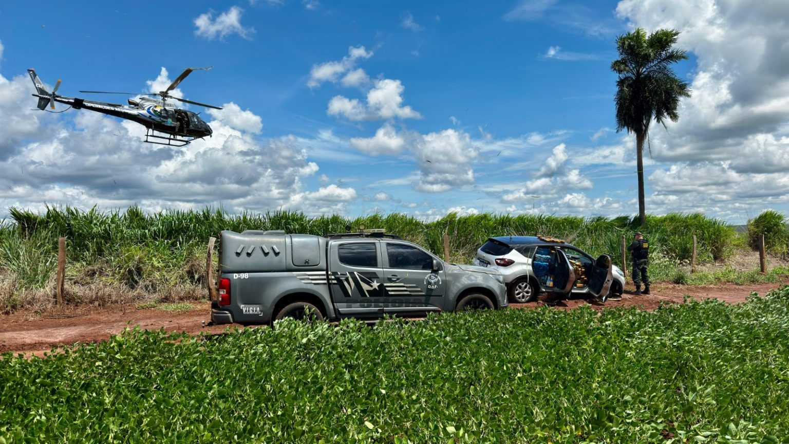 Apreensão de drogas