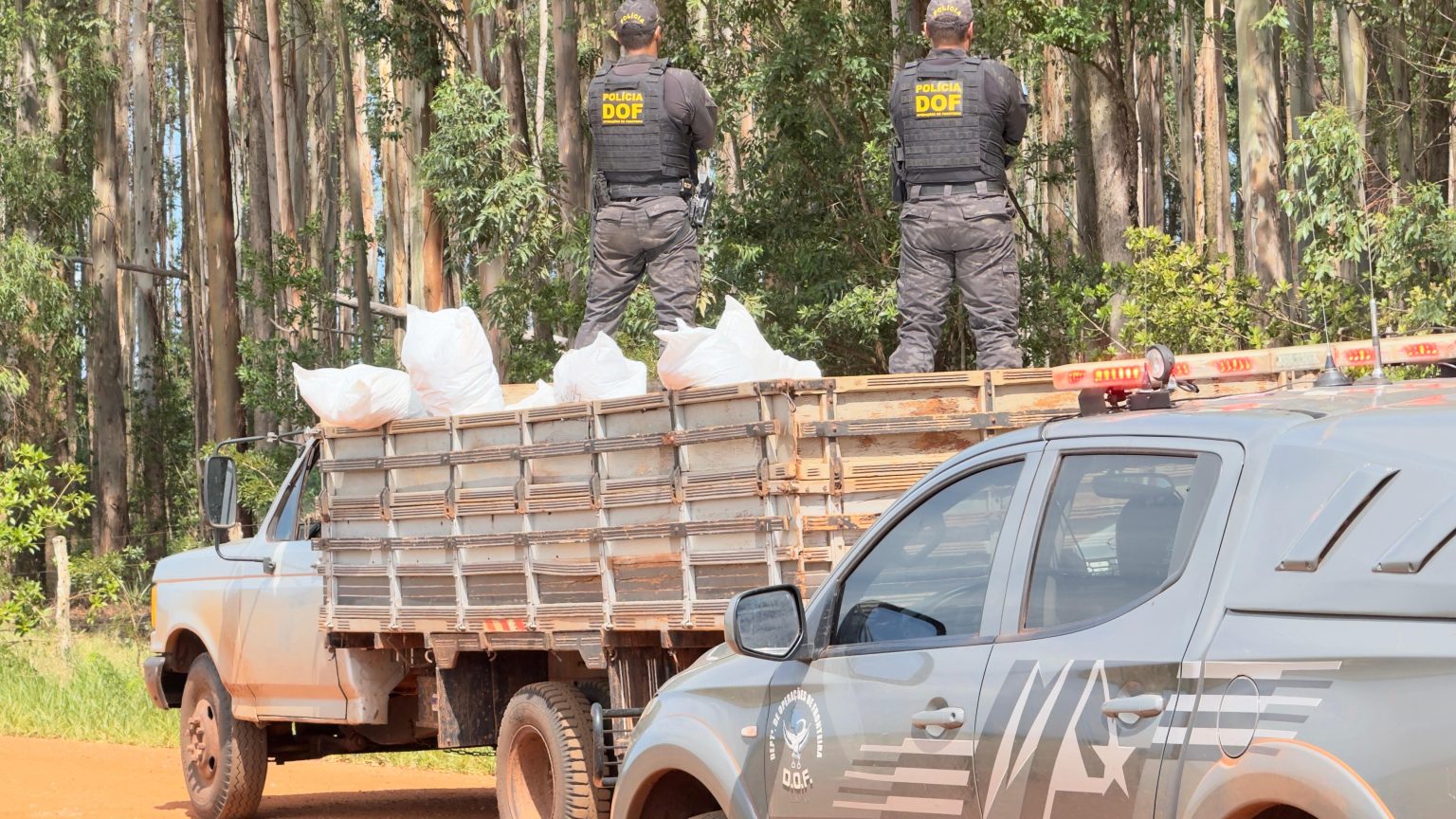 Camionete apreendida com defensivo agrícola ilegal