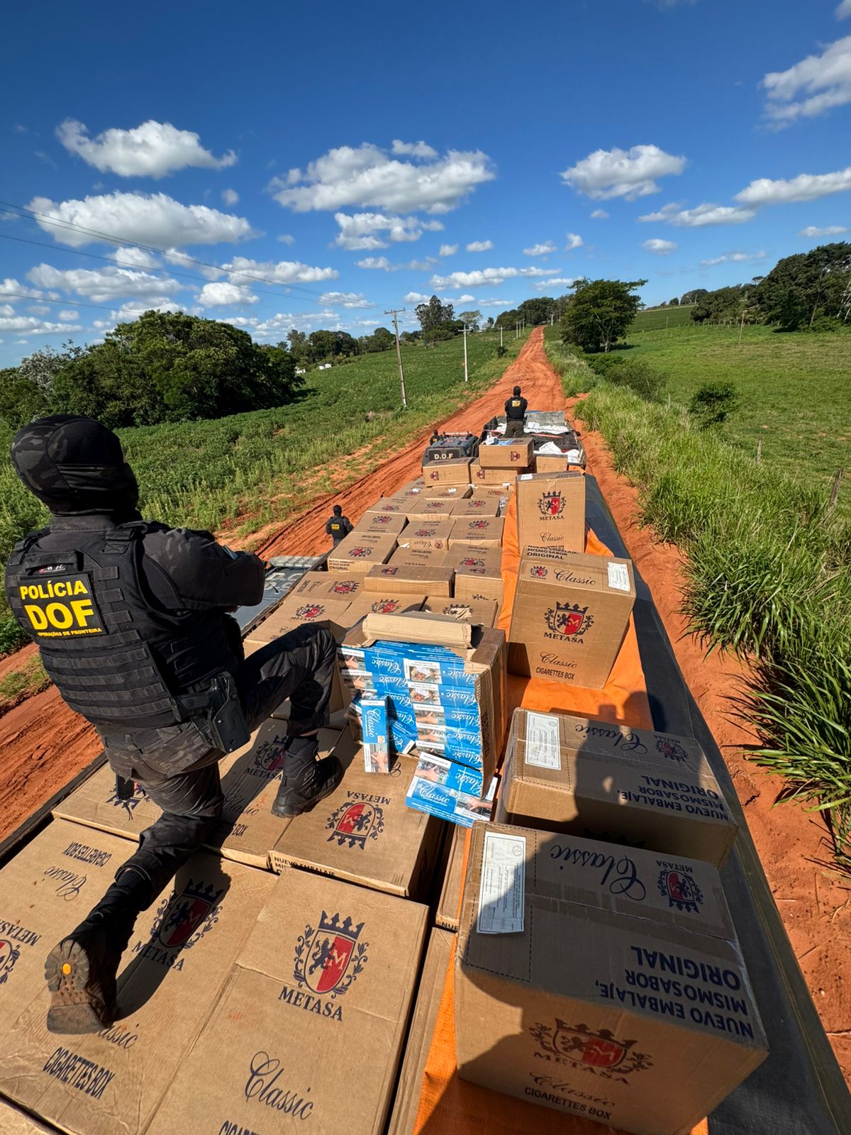 Caminhões apreendidos pelo DOF