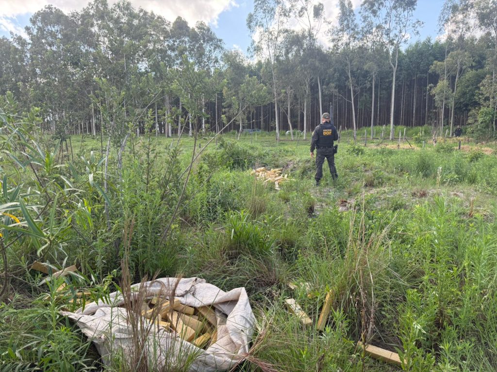 DOF apreende mais de 300 quilos de droga após veículo ficar atolado DOF apreende mais de 300 quilos de droga após veículo ficar atolado