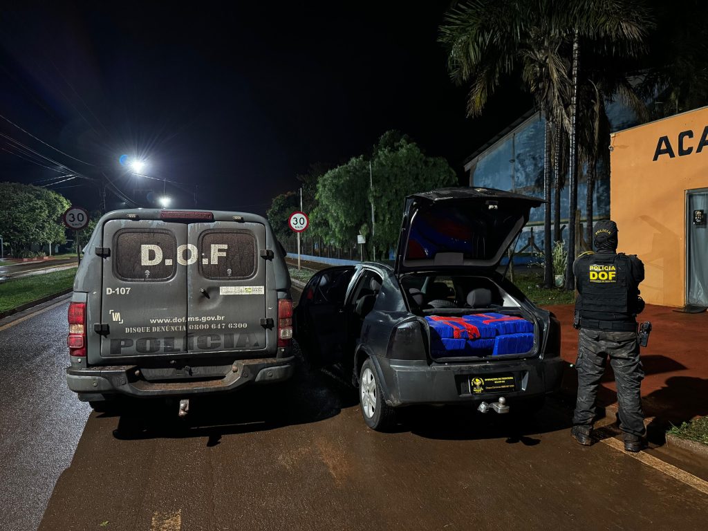 Foto: Reprodução/DOF - MS